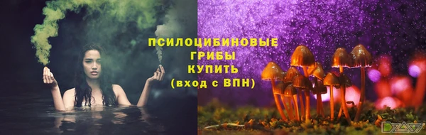 мдпв Корсаков