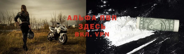 ECSTASY Тихвин