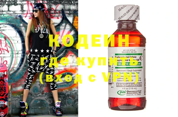 шишки Верея