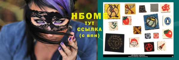 шишки Верея