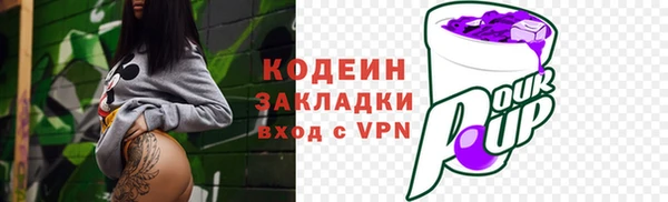 шишки Верея