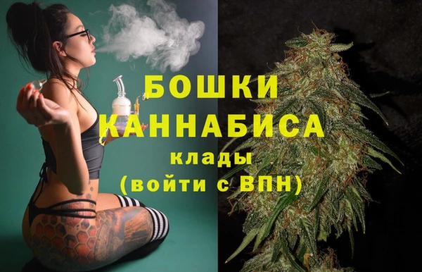 шишки Верея