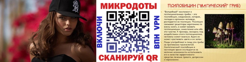 купить наркотики сайты  Вышний Волочёк  Галлюциногенные грибы Psilocybe 