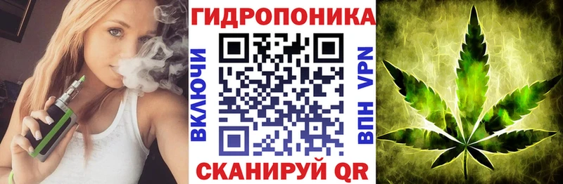 Бошки марихуана ГИДРОПОН  Вышний Волочёк 